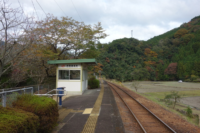 DSC00957.JPG